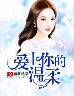 爱上你的温柔封面