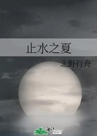 止水之夏封面