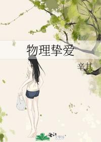 物理挚爱封面