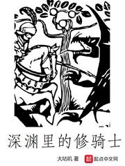 深渊里的修骑士封面