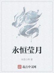 永恒莹月封面