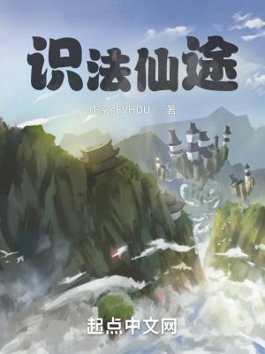 识法仙途封面