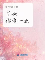 丫头你乖一点封面