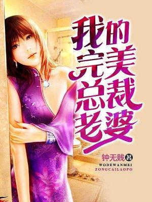 我的完美总裁老婆封面