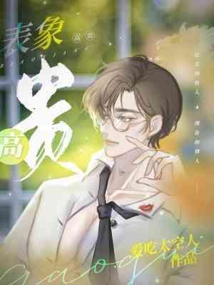 表象高贵封面