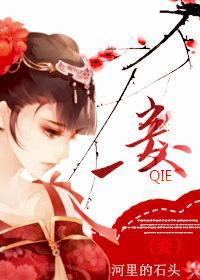 妾封面