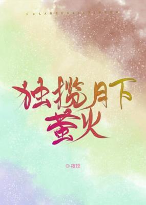 独揽月下萤火封面