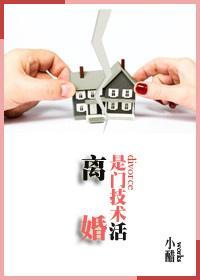离婚是门技术活封面