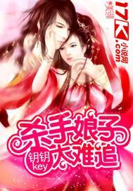 杀手娘子太难追封面