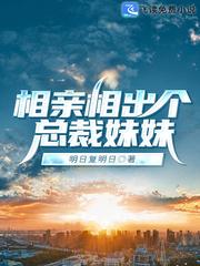 钢系精灵训练家封面