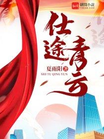 仕途青云封面