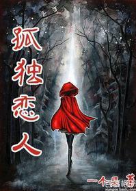 孤独恋人封面