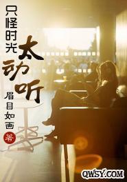 只怪时光太动听封面