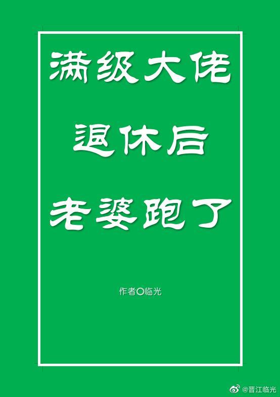 满级大佬退休后老婆跑了封面