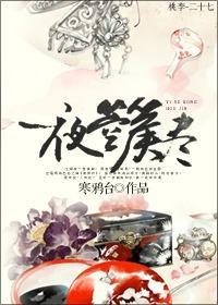 一夜箜篌尽封面
