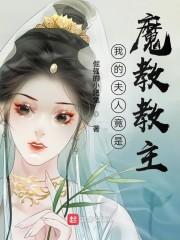 我的老婆是魔教教主去冰封面