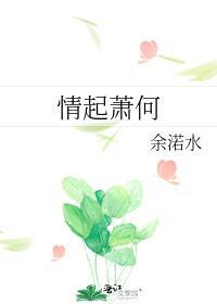 情起萧何封面