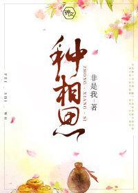 种相思封面