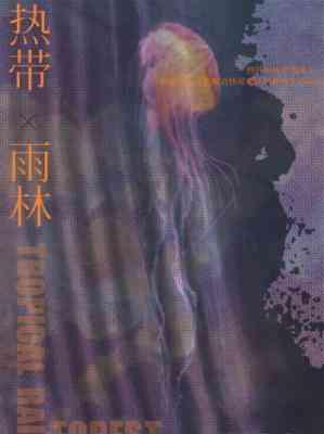 热带雨林封面