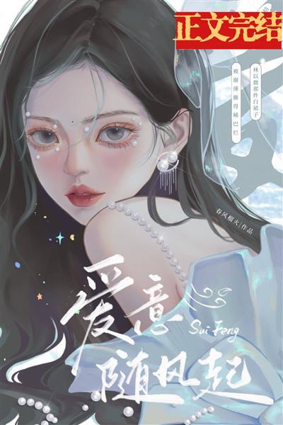 爱意藏风裏封面