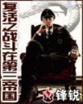 覆活之战斗在第三帝国封面