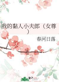 我的黏人小夫郎（女尊）封面