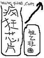 疯狂芯片封面