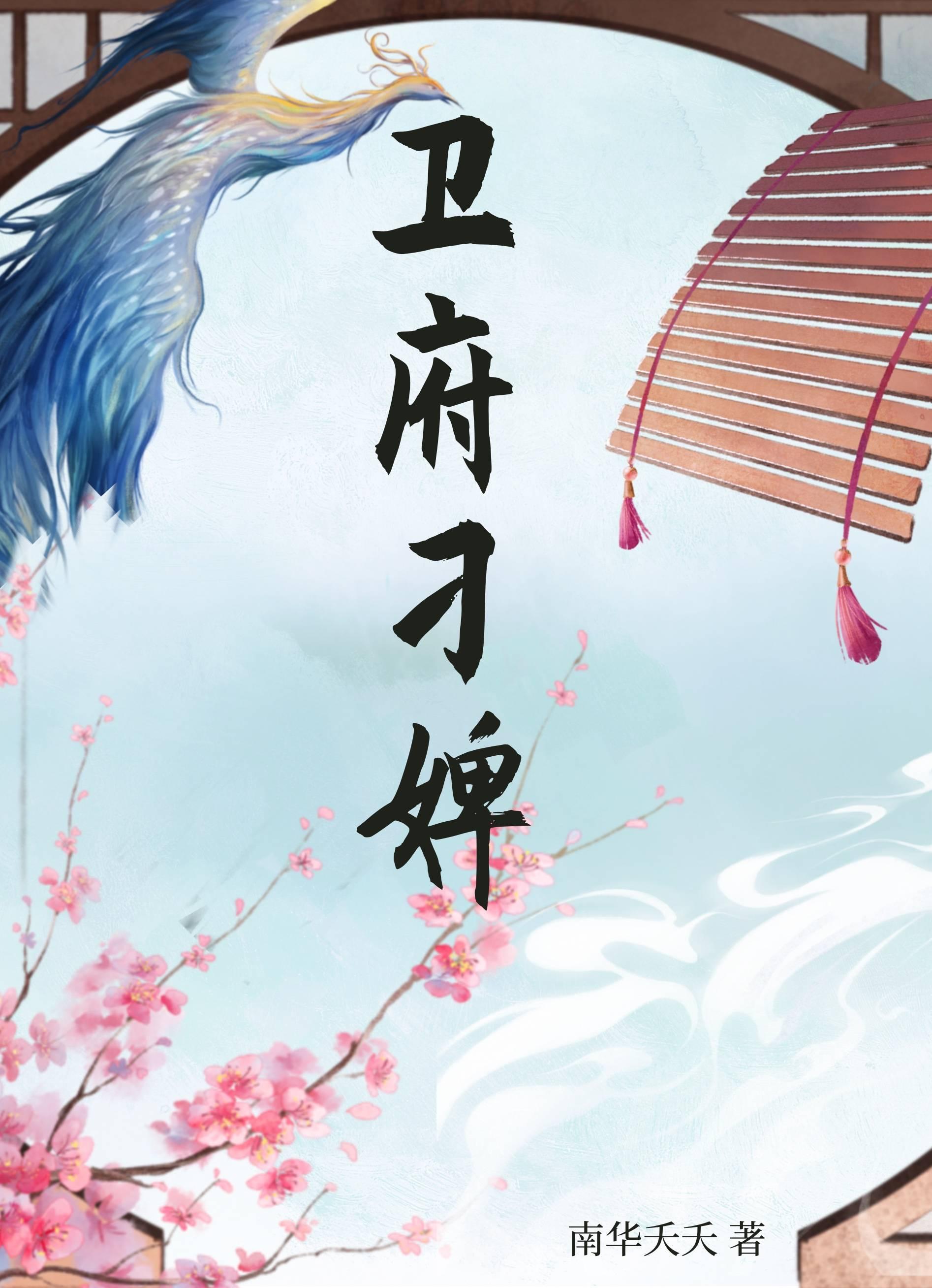 卫府刁婢封面