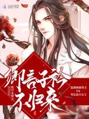 卿言子衿不归来封面
