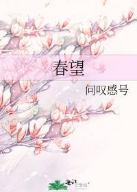 春望封面
