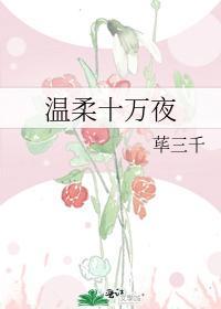 温柔十万夜封面