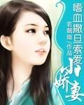 嗜血撒旦索爱小娇妻封面