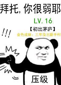所谓的压级大佬封面