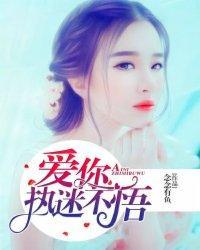 爱你，执迷不悟封面
