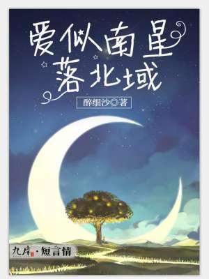 爱似南星落北域封面