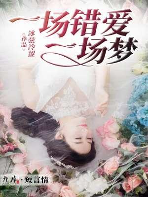 一场错爱一场梦封面