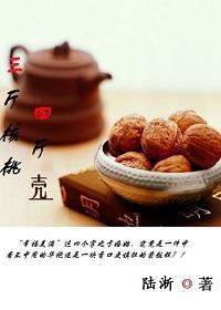 三斤核桃四斤壳（婚恋）封面