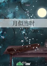 月似当时封面