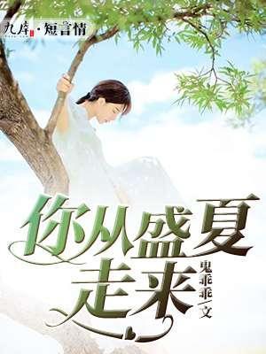 你从盛夏走来封面