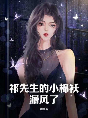 祁先生的小棉袄漏风了封面