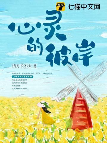 心灵的彼岸封面