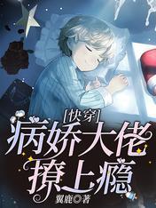 快穿：病娇大佬撩上瘾封面