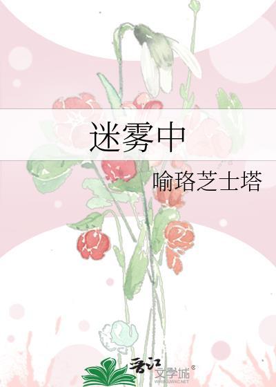 迷雾中封面