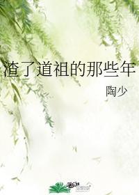 渣了道祖的那些年封面