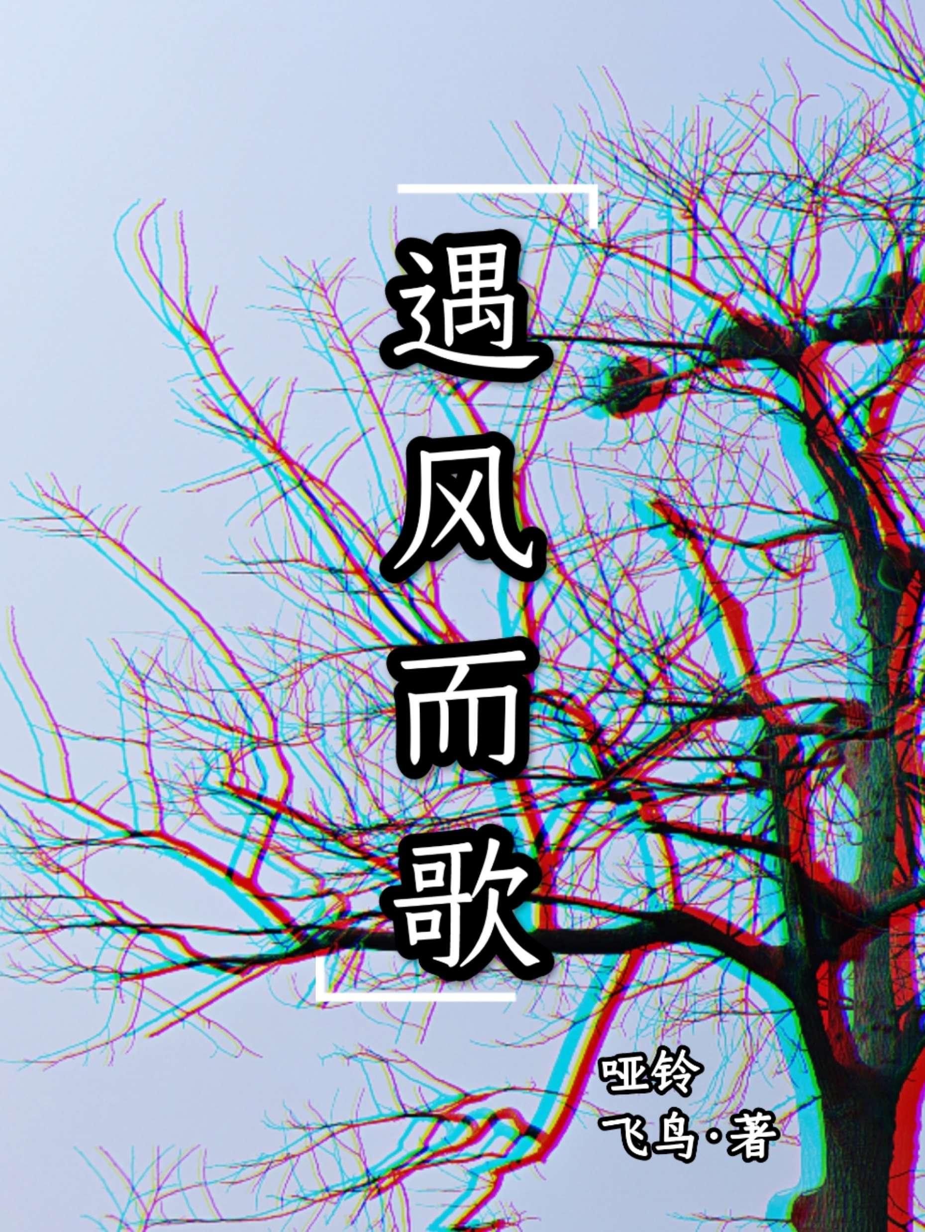遇风而歌封面