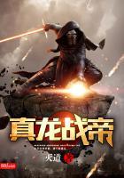 火种进化封面