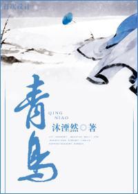 青鸟封面