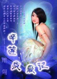 辛莲疯癫记封面