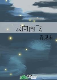 云向南飞封面