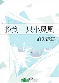 捡到一只小凤凰封面